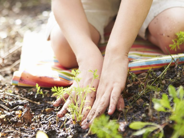 Carbon Offset Programme