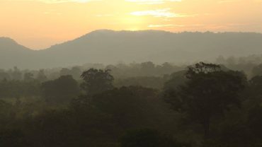 Environment – It’s really a load of rubbish.  The TTC team take things in to their own hands