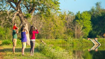 The Perfect Family holiday